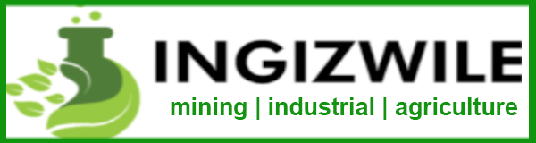 ingiznew2